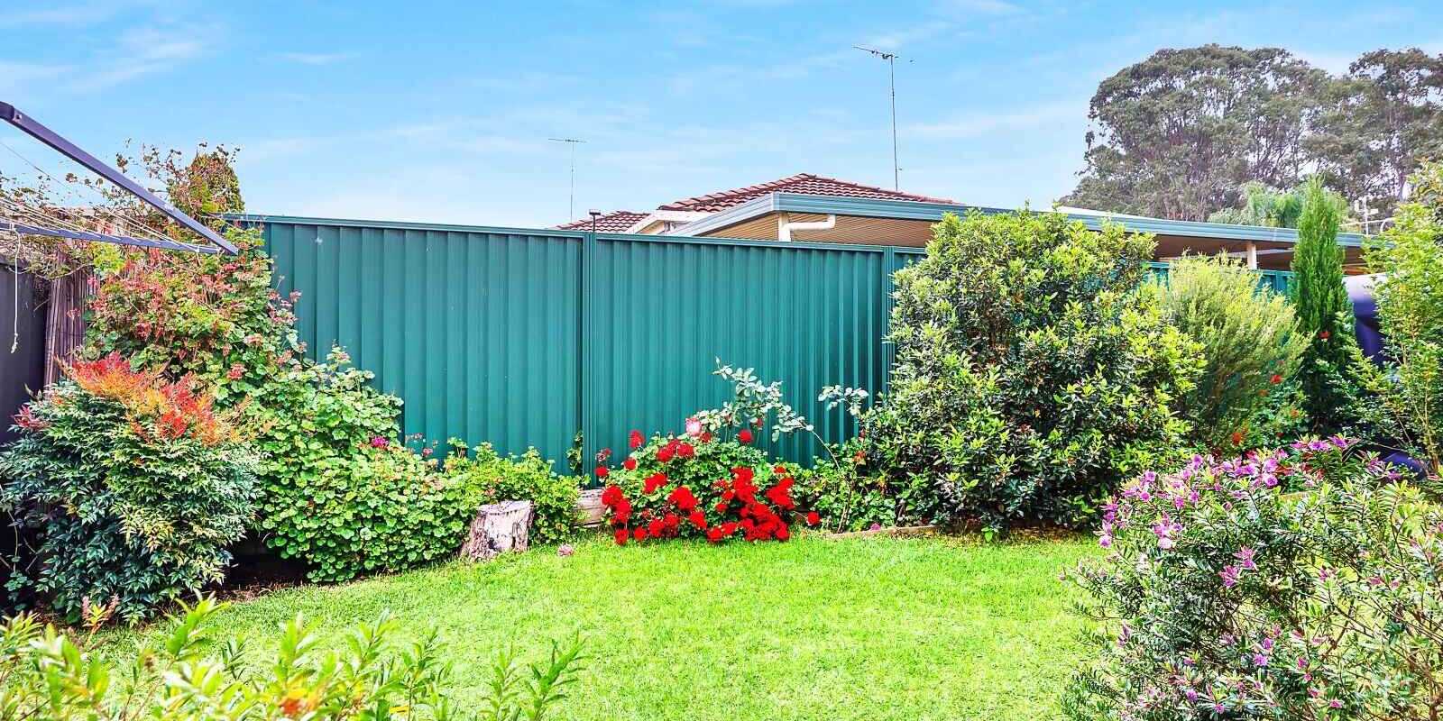 3 Mentor Glade Rooty Hill