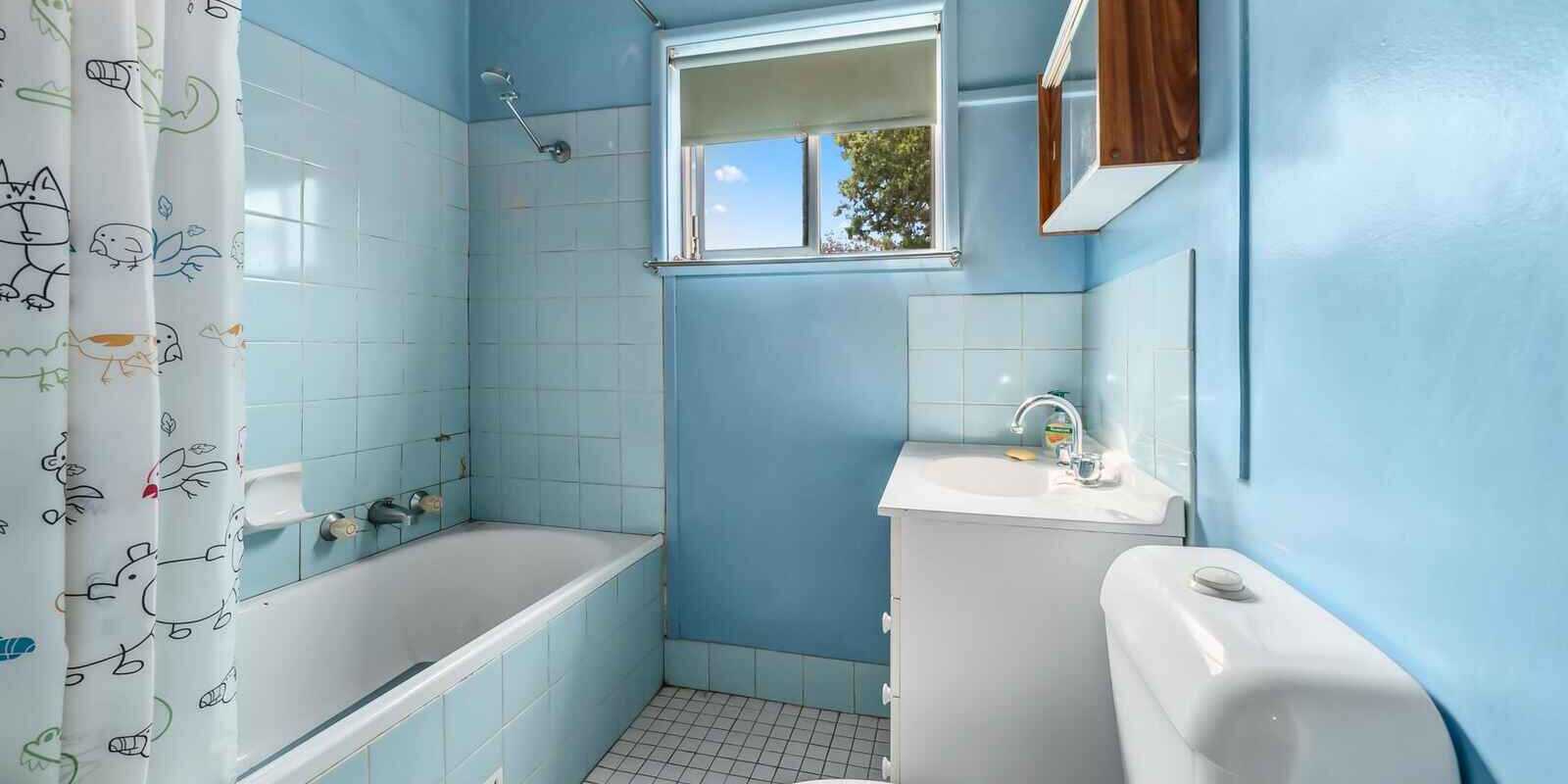 7 Memphis Street Mount Druitt