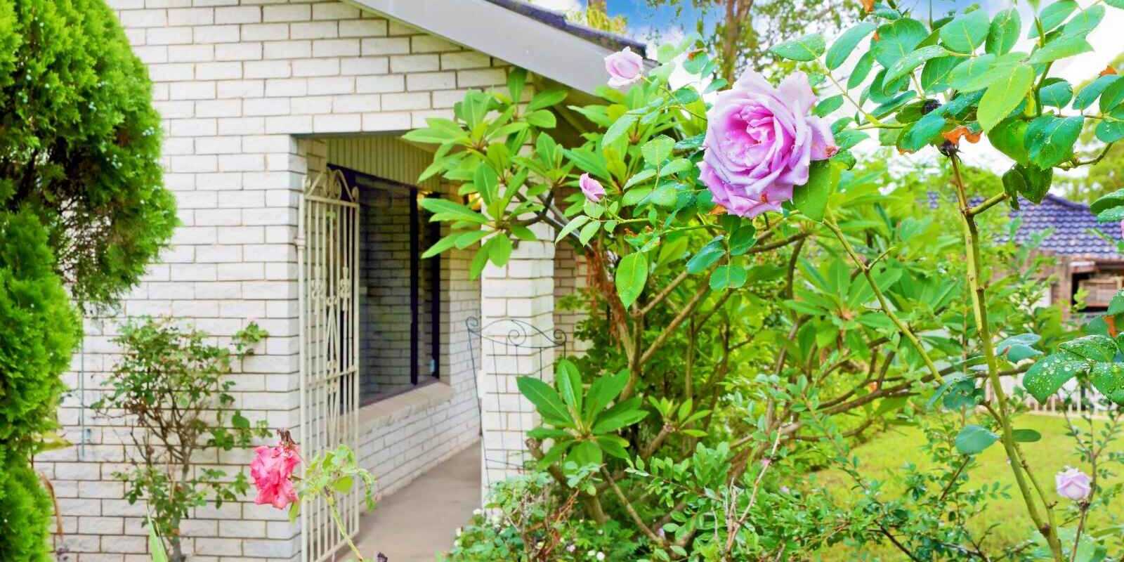 2 Birch Place Bidwill