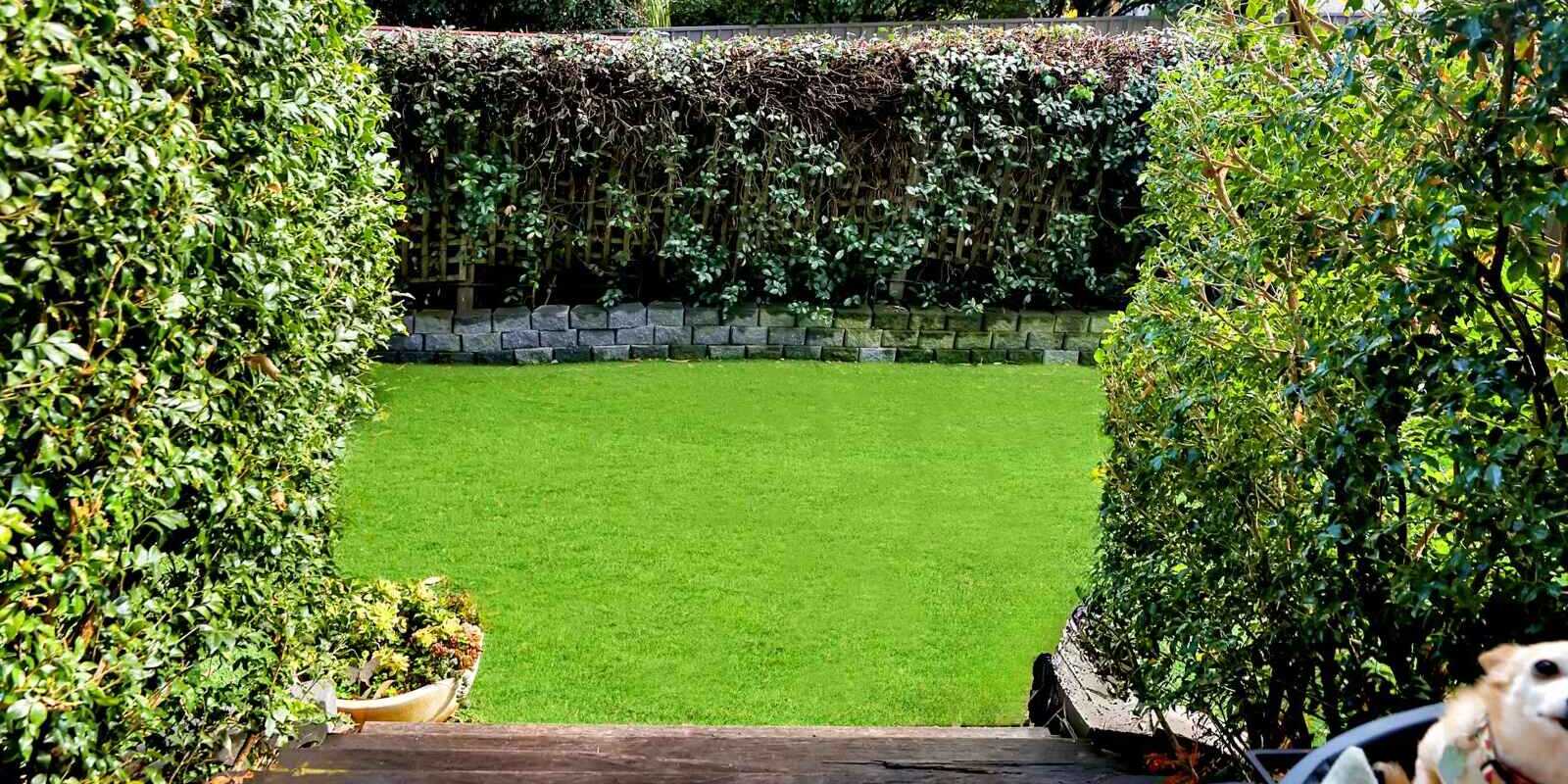 29 Evans Road Rooty Hill 29 Evans Road Rooty Hill
